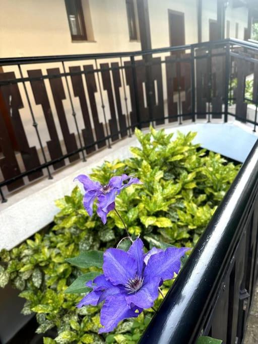 Spacious Fully Furnished Studio In Kavarna Apart Hotel Ngoại thất bức ảnh
